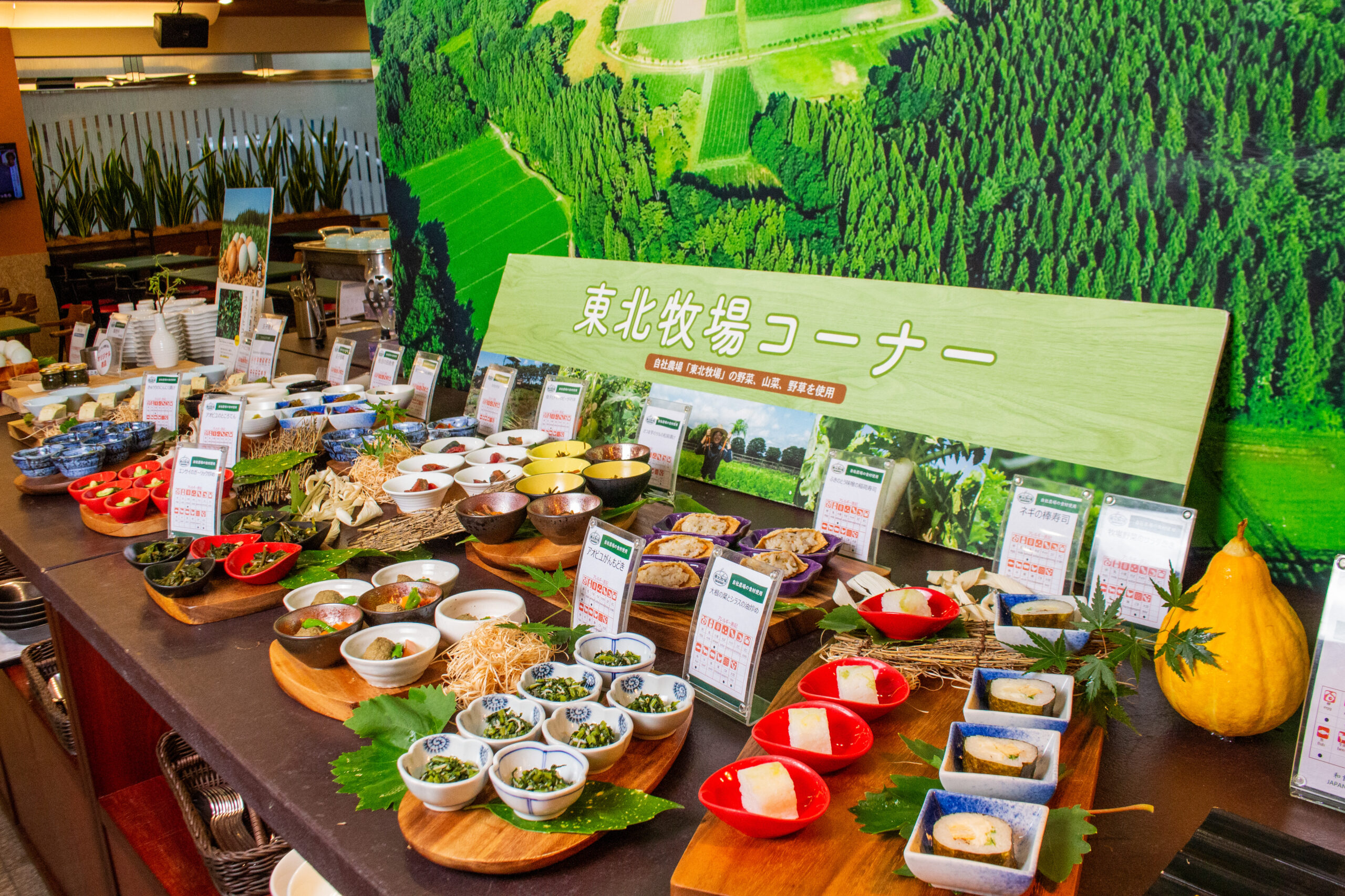 旬の野菜を直送！東北牧場コーナー